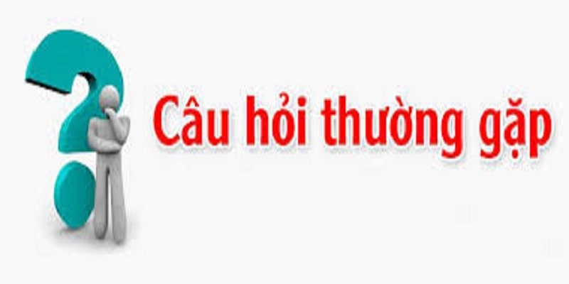 Nhiều thể loại câu hỏi thường gặp trong cá cược trực tuyến