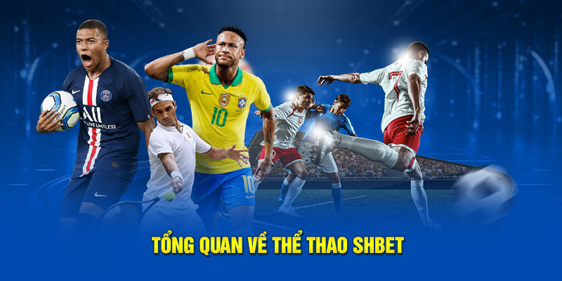 Tổng quan về thể thao SHBET