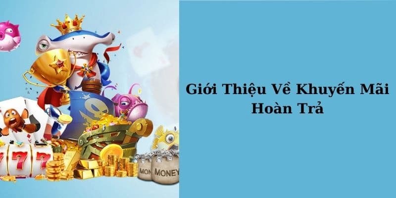 Khái niệm khuyến mãi hoàn trả 15% mỗi tuần cho mọi cược thua tại SHBET 